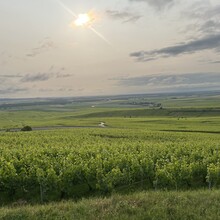 Todd Burch - GR® de Pays de la Montagne de Reims (France)
