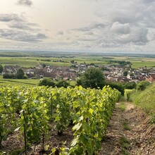 Todd Burch - GR® de Pays de la Montagne de Reims (France)