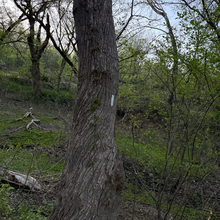 Jack Vandemeulebroecke - C & O Canal 100k - DC - Harpers Ferry (DC, MD, WV)