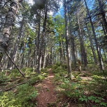 Erin O'Toole - Slippery Brook - Baldface Loop (NH)