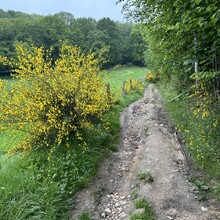 Irene Kinnegim - Dutch Mountain Trail (Netherlands)