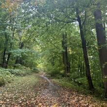 Kyra Schwaninger, Lorela Blaka - Old Croton Aqueduct Trail (NY)