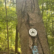 Kyra Schwaninger, Lorela Blaka - Old Croton Aqueduct Trail (NY)