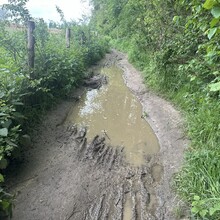 Irene Kinnegim - Dutch Mountain Trail (Netherlands)