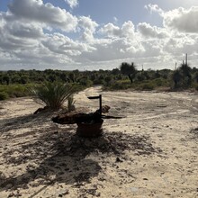 Justin Mulhair - Coastal Plain Trail