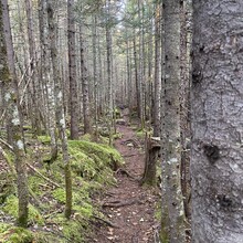 Richard Turgeon - Trans-Charlevoix Route (QC, Canada)
