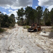 Justin Mulhair - Coastal Plain Trail