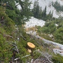 Nina Potrebich - Mt Hinman