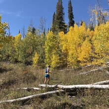Courtney Clifton, Andrew Pontbriand - Black Mountain Loop (CO)