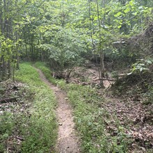 Mike Cole - Knobstone Trail (IN)