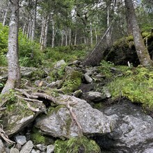 Joe Palisi - Vermont Lowest to Highest (VT)