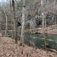 Shannon McDowell - Whites Creek Trail (MO)