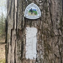Christopher "Walkin" Paquette - New England Trail (CT, MA)