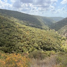Dima Volsky - Yam el Yam (Israel)