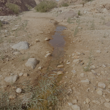 Matt Schulman - Jordan Trail: Petra to Wadi Rum