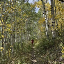 Doug Lloyd, McKenna Hyman - MURL: Millcreek Ultimate Ridge Linkup