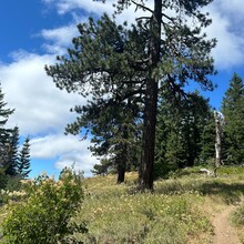 Trevor Wichmann, Connor O'Brien - Surveyor's Ridge Trail (OR)