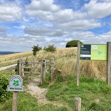 Suzanne Stevens, Phil Stevens - Cranborne Droves Way