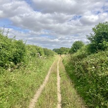 Suzanne Stevens, Phil Stevens - Cranborne Droves Way