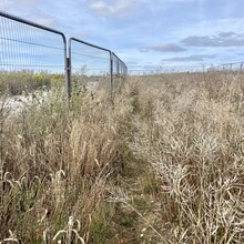 Suzanne Stevens, Phil Stevens - Cranborne Droves Way