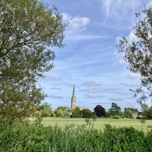 Suzanne Stevens, Phil Stevens - Cranborne Droves Way