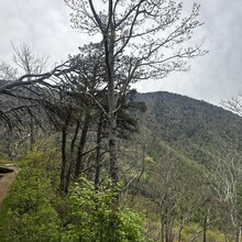 Martin Schneekloth - Downtown Gatlinburg to Cliff Tops Vertical Mile Out & Back
