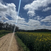 Adrien Tarenne, Todd Burch - Chemin de Compostelle: Auxerre-Vezelay (France)