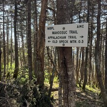 Fyn Kynd - Grafton Notch Loop (ME)
