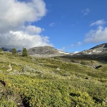 Finn Isaksen - DNT Massiv 370 (Norway)