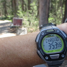 Marcy Beard - Clouds Rest, Yosemite (CA)