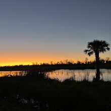 Barbara Radford - Lake Apopka Circumnavigation (FL)