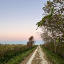 Barbara Radford - Lake Apopka Circumnavigation (FL)