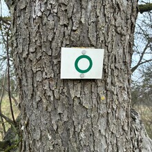 Volker Buschka - Circuit entre Rott et Lauter, Wissembourg (France)