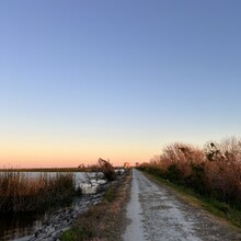 Barbara Radford - Lake Apopka Circumnavigation (FL)