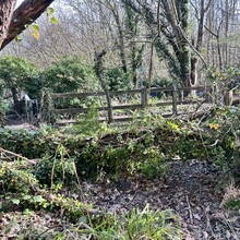 Rick Walton - Big Blean Walk