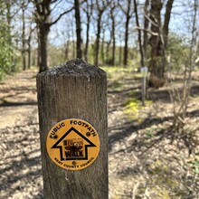 Rick Walton - Big Blean Walk