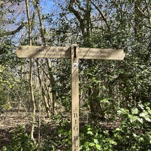 Rick Walton - Big Blean Walk