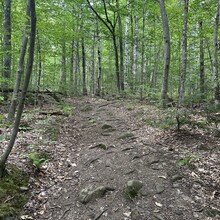 Alexandria Leveille - Sunapee Resort Loop (NH)