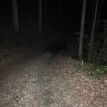 Darrell Skogman - Georgia Beyond 4000 (GA)