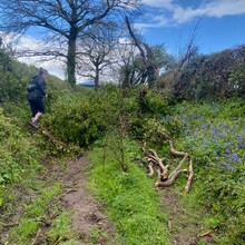 Emma Hooper, Sue Lord - Limestone Link (UK)