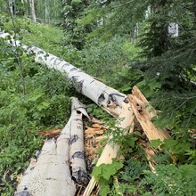 Courtney Clifton - Black Mountain Loop (CO)