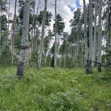 Courtney Clifton - Black Mountain Loop (CO)