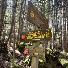 Syd Steger, Alissa Harse - High Peaks Wilderness Traverse (NY)