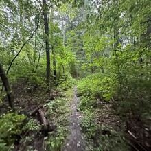 Addison Sember - North Country Trail: Moraine & McConnell's Mill State Parks (PA)