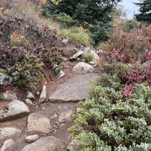 Caroline Corcoran - Granite Mountain (WA)