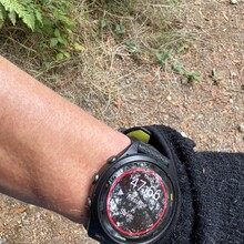 Caroline Corcoran - Granite Mountain (WA)