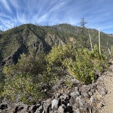 Vincent DiFrancesco - Illinois River Trail (OR)