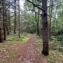 Addison Sember - North Country Trail: Moraine & McConnell's Mill State Parks (PA)