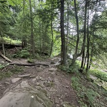 Addison Sember - North Country Trail: Moraine & McConnell's Mill State Parks (PA)