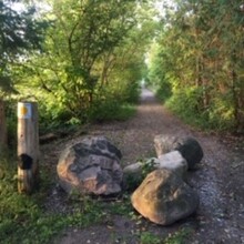 Jamieson Hatt - Sutton-Zephyr Rail Trail (ON, Canada)